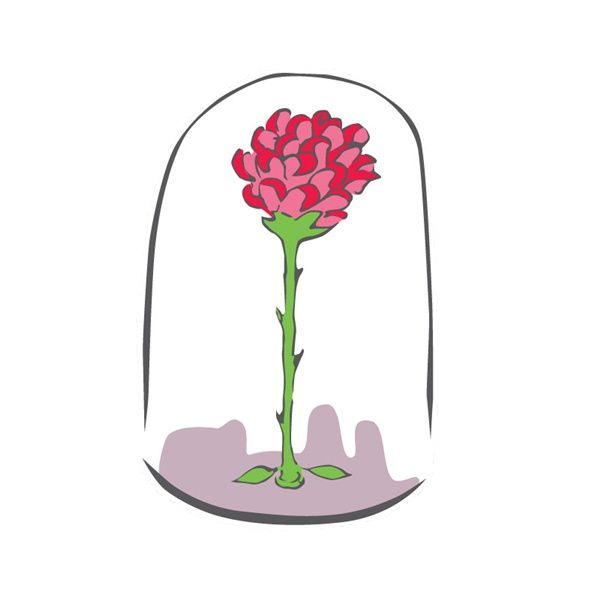 La rose | Le Petit Prince