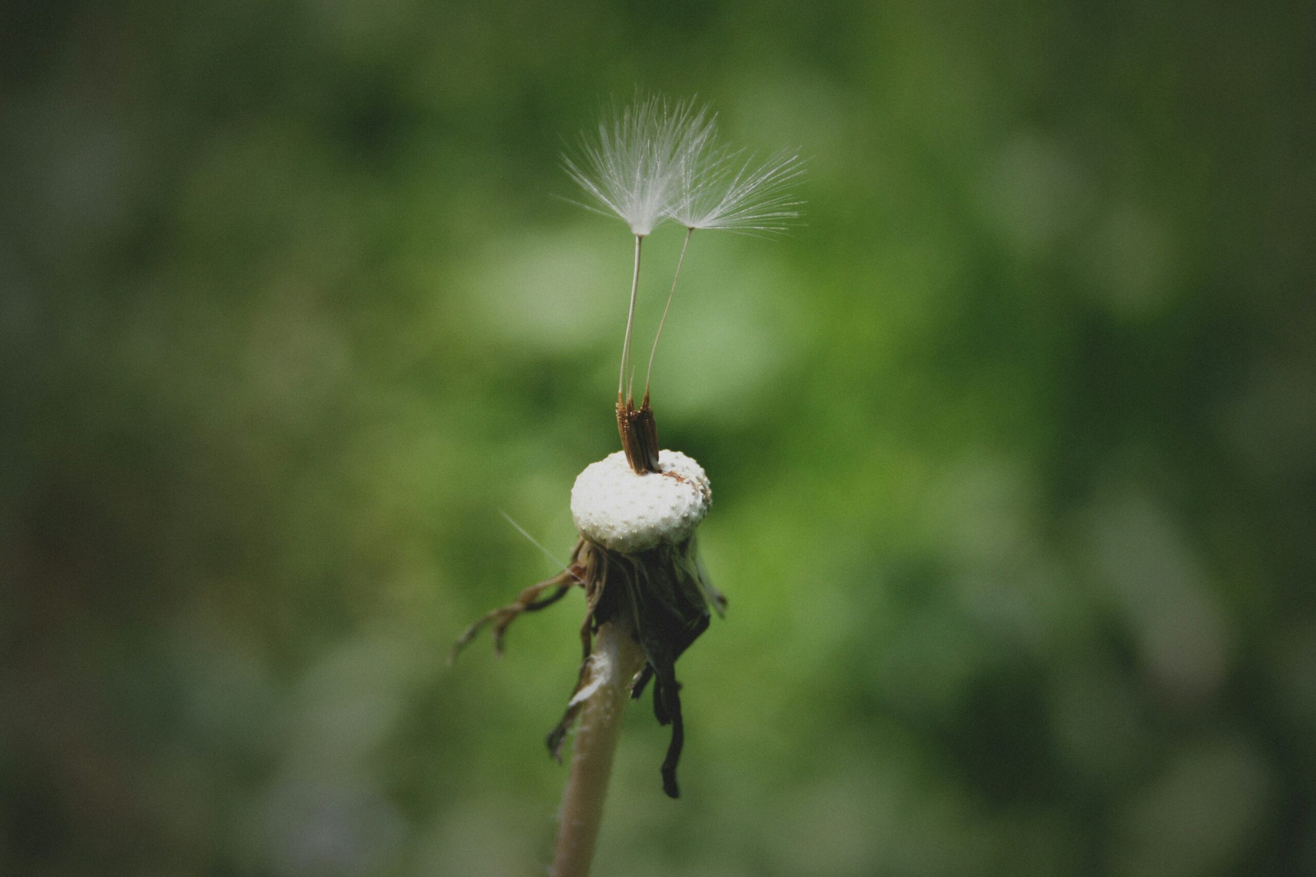 Le garçon qui voulait retenir le vent | Photo de Tina Xinia sur Unsplash