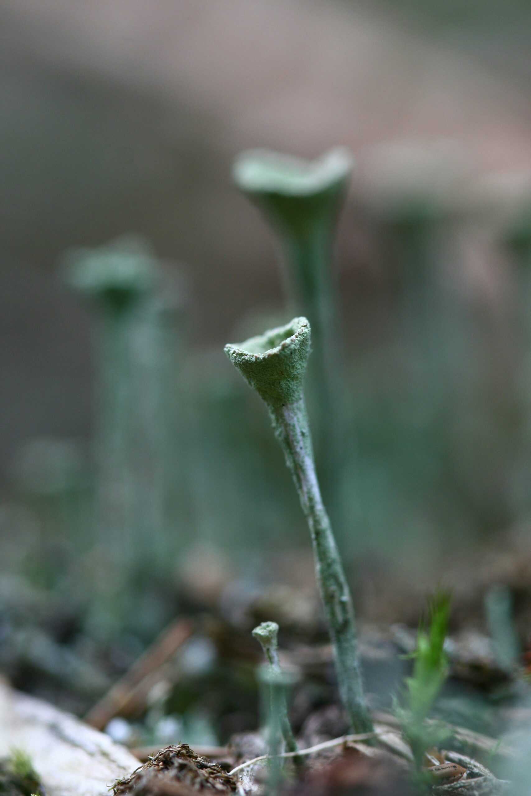 Semeur de grains | Photo de Wild Spirit sur Unsplash